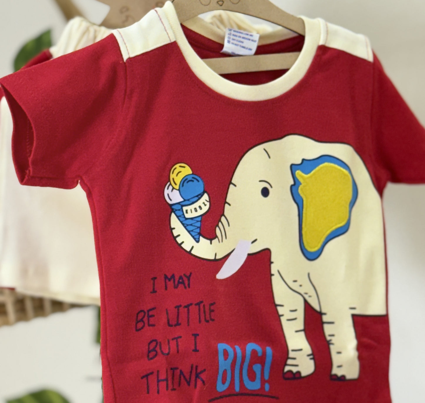 Tshirt & Shorts | Boys Wear