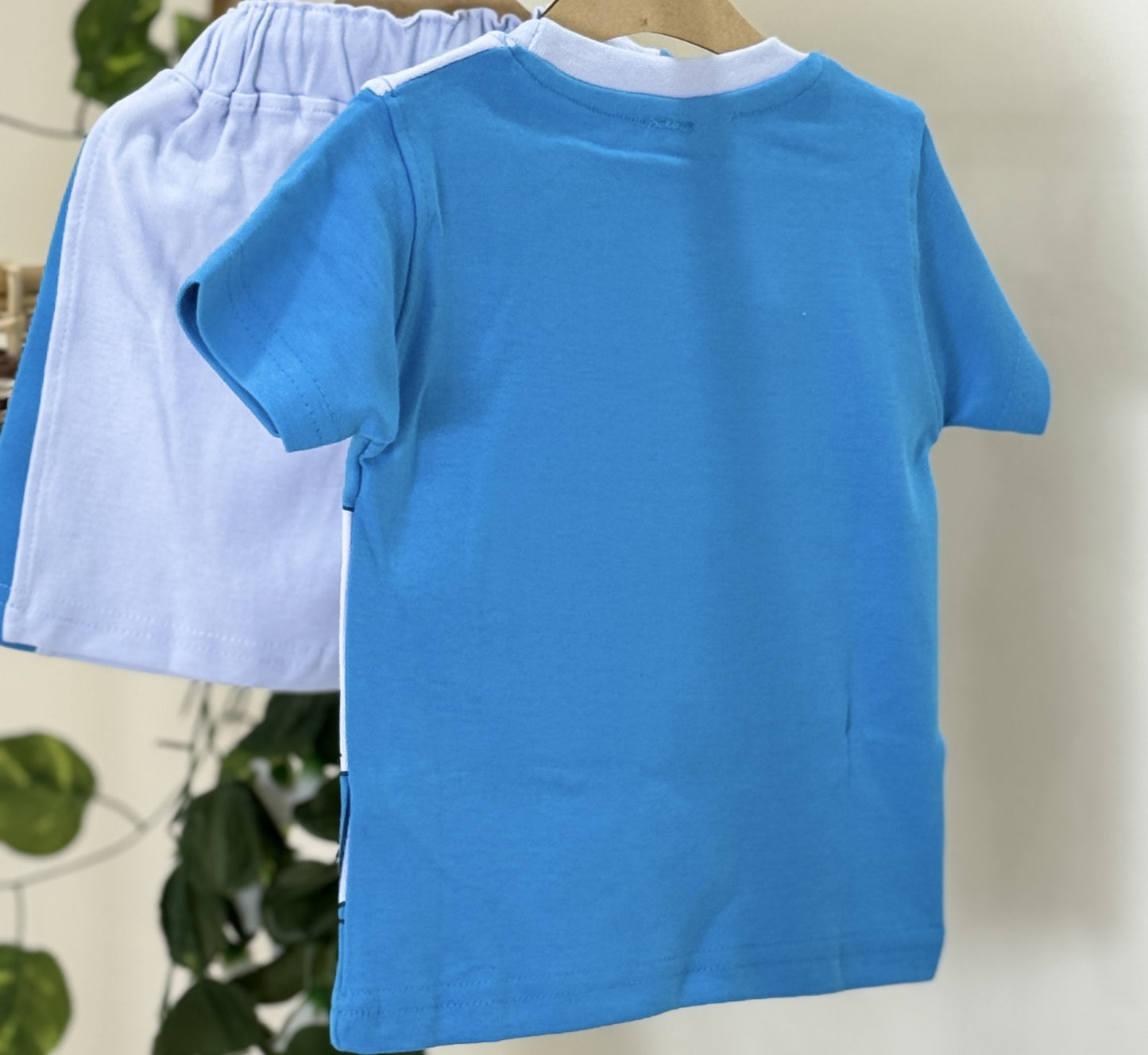 Tshirt & Shorts | Boys Wear