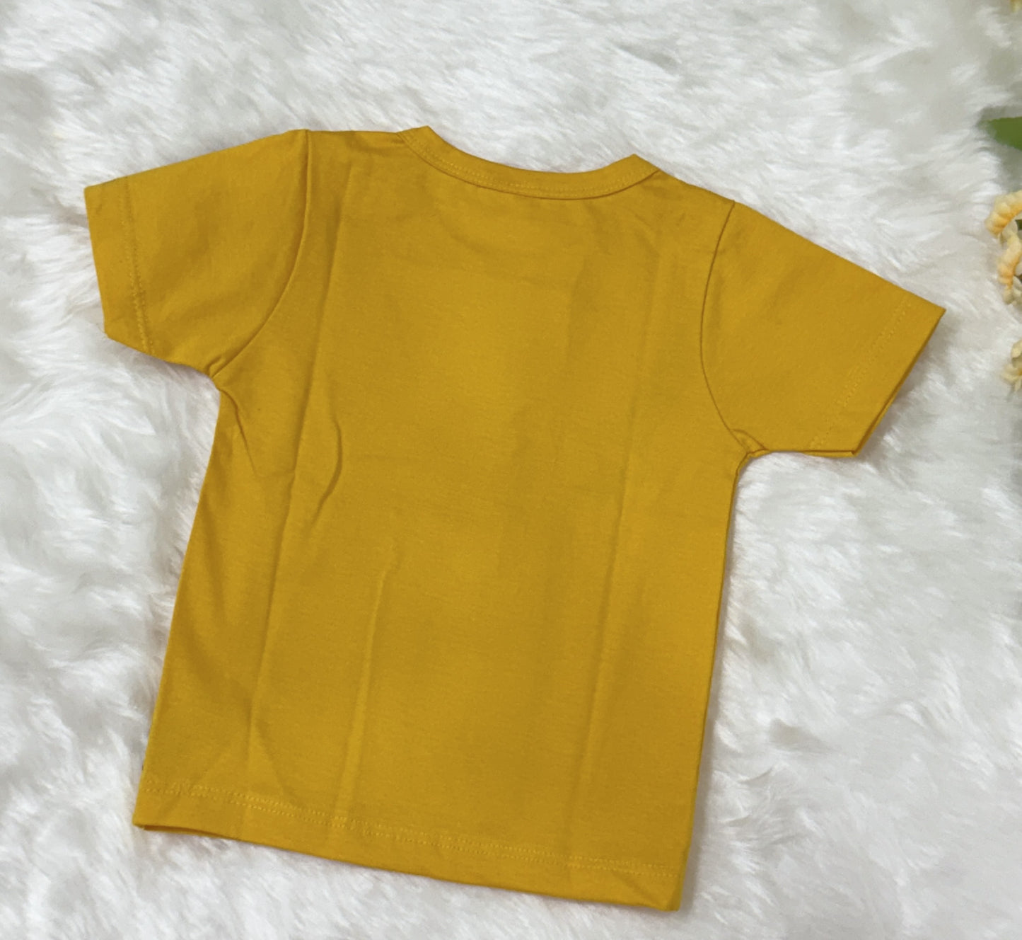 T-shirt & Shorts / Graphic Tee & Checked Shorts Set / Boys Dress