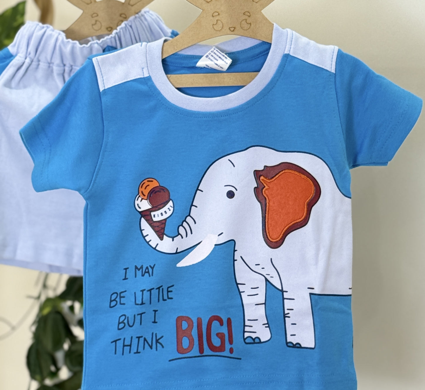 Tshirt & Shorts | Boys Wear