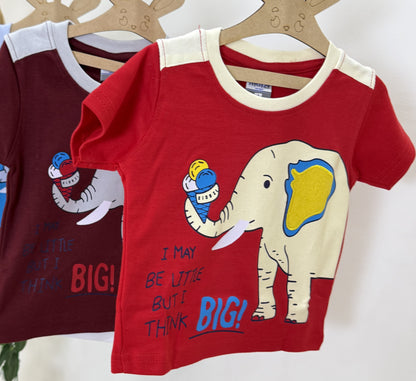 Tshirt & Shorts | Boys Wear