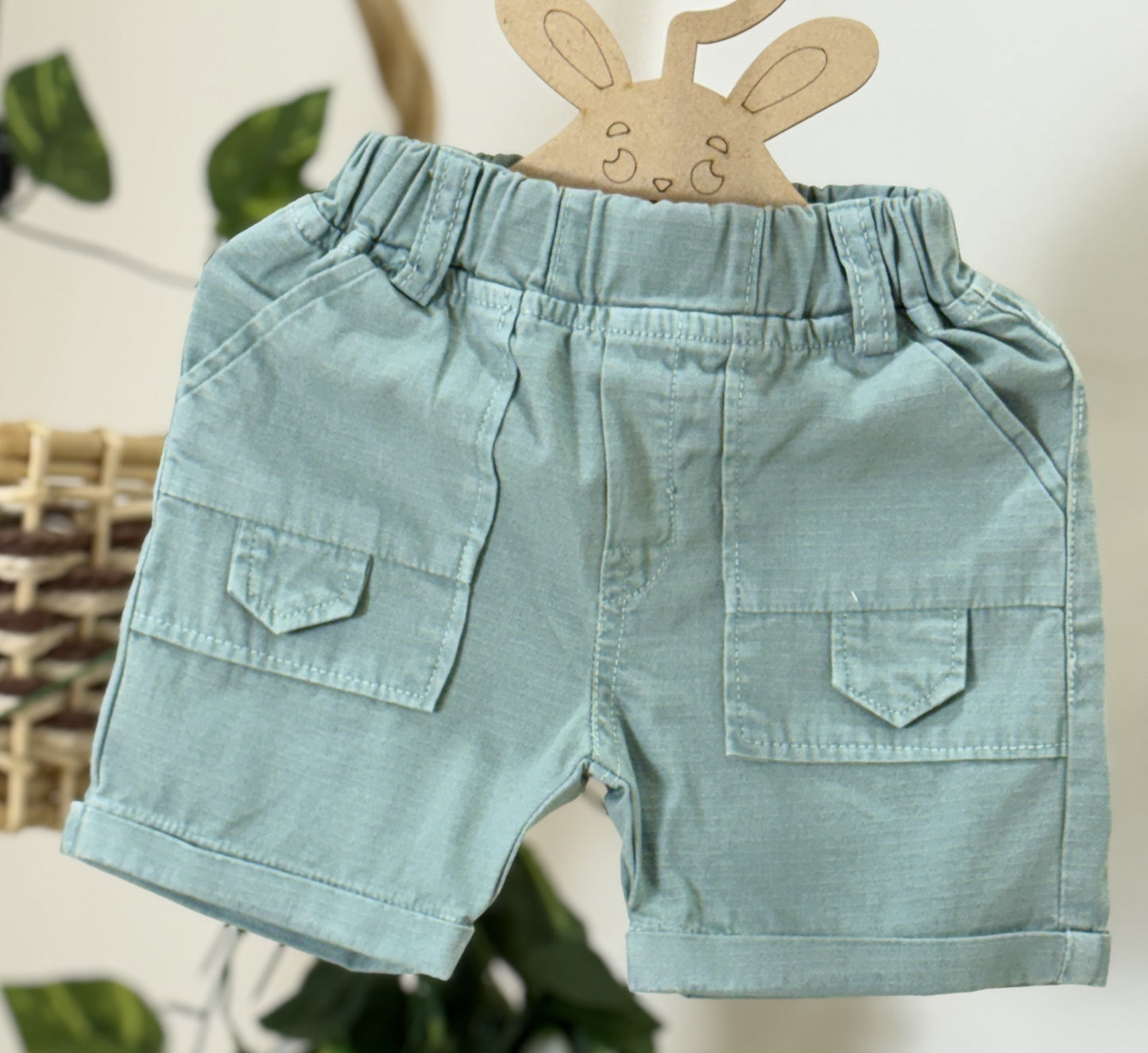 Jacket with T-shirt & Shorts / Boys Wear