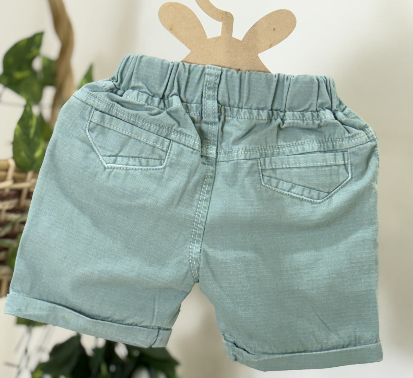 Jacket with T-shirt & Shorts / Boys Wear